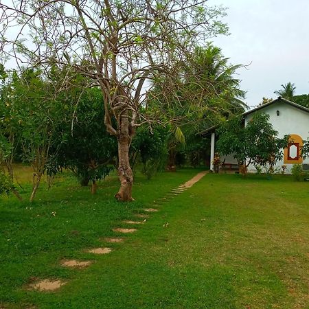 Hideaway Homestay 哈伯勒内 外观 照片