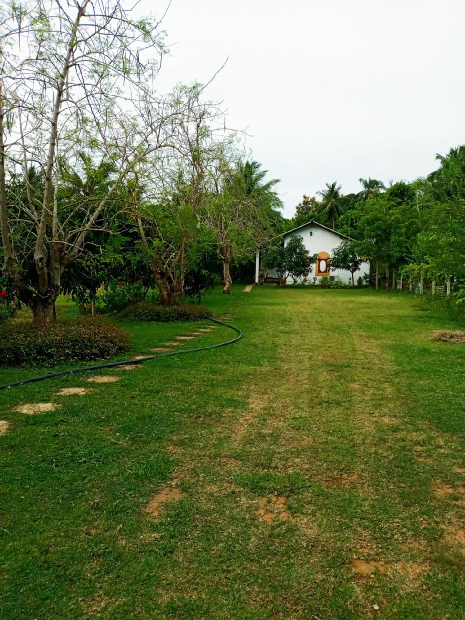 Hideaway Homestay 哈伯勒内 外观 照片