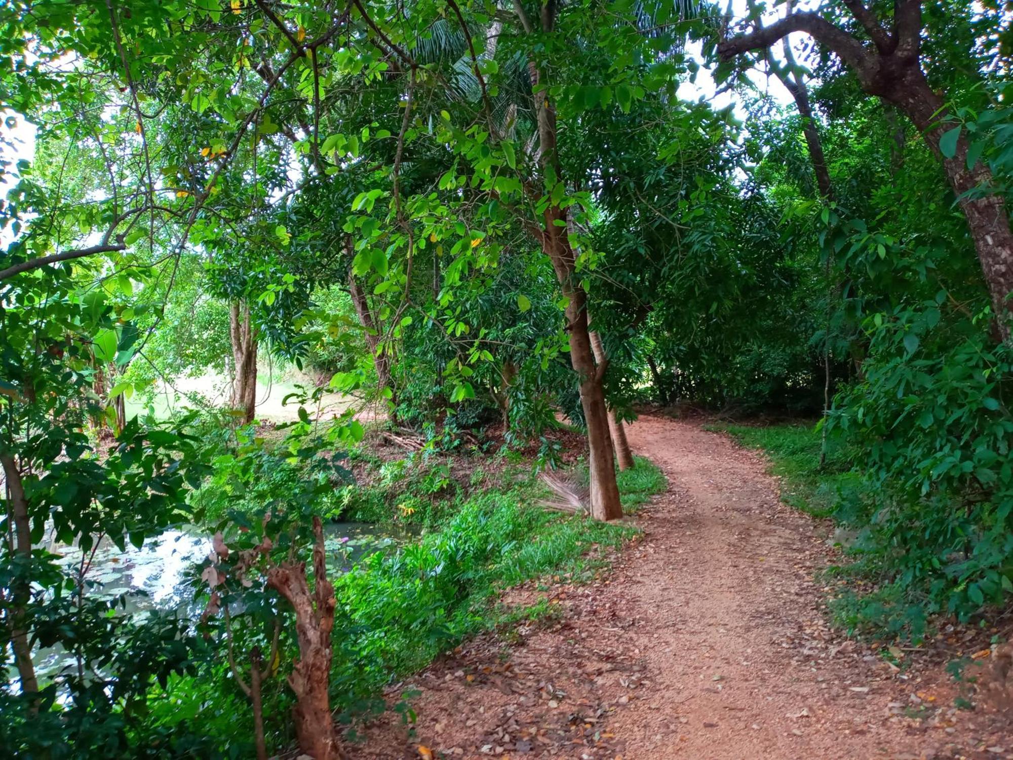 Hideaway Homestay 哈伯勒内 外观 照片